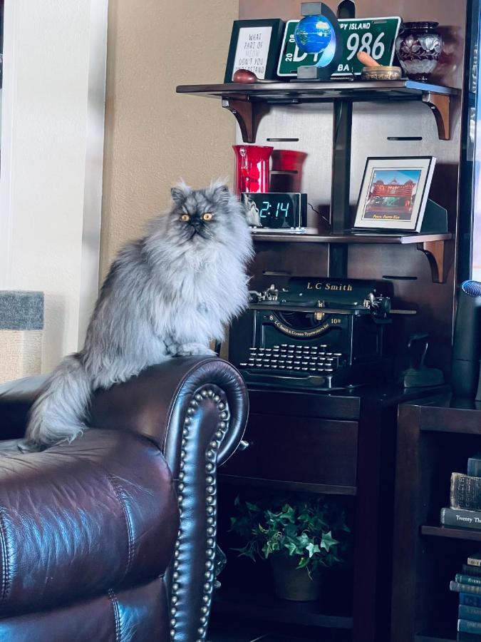 Ruskin Fl Private 2 Bdrm 1 Bath Suite Common Areas Shared With Host And Cat Екстер'єр фото