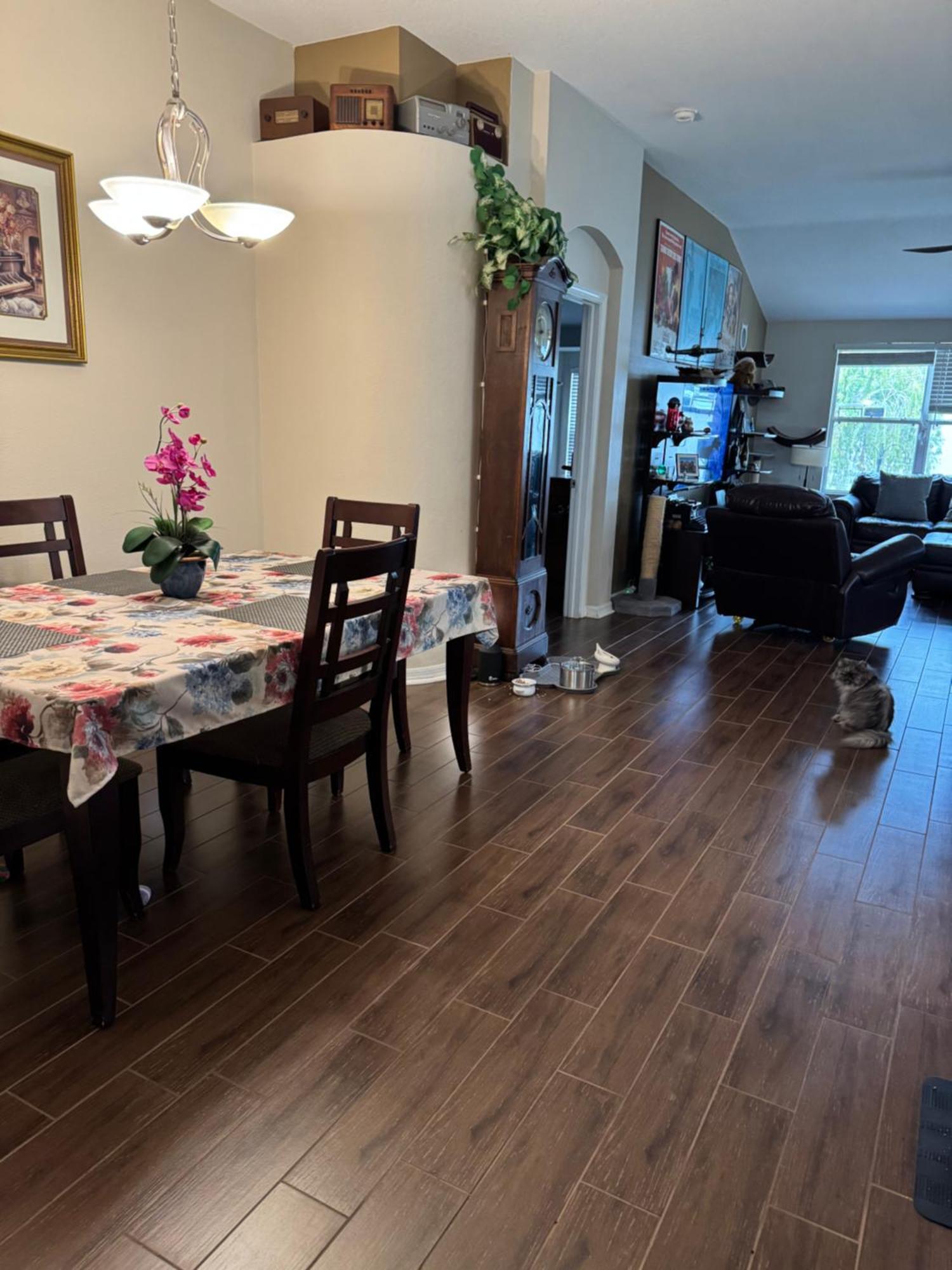 Ruskin Fl Private 2 Bdrm 1 Bath Suite Common Areas Shared With Host And Cat Екстер'єр фото